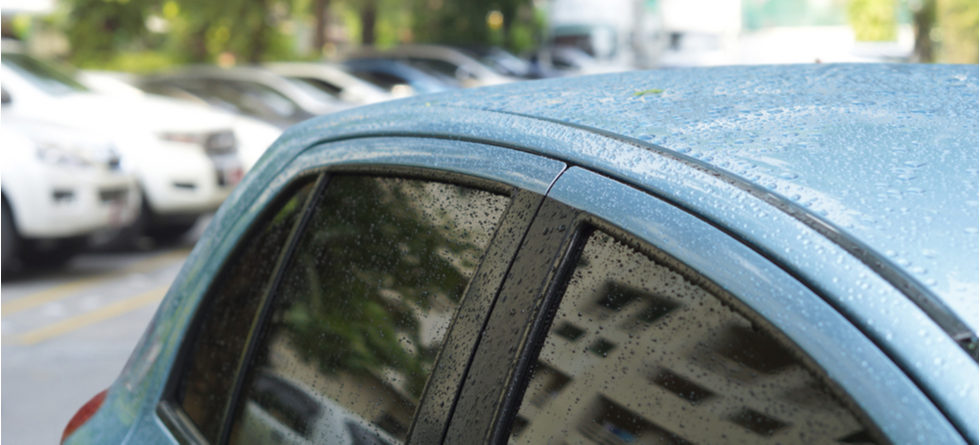 Should I wipe my car after it rains